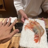 恵比寿 鮨 ふじまさ - 