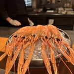 Restaurant DESTINA - 