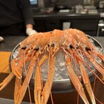 Restaurant DESTINA - 