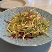CINA New Modern Chinese - 