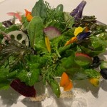 レフェルヴェソンス - 