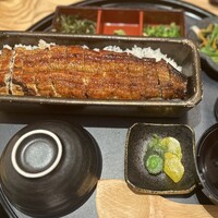 うなぎ四代目菊川 ミッドランドスクエア 名古屋本店 - 