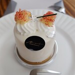 Patisserie Chocolaterie Recit - 