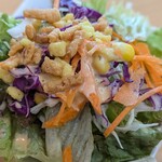 エスニック&インド料理 TANDOOR - 