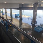 氷見 魚市場食堂 - 