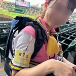 阪神甲子園球場 - 