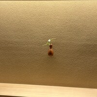 日本料理 新茶家 - 