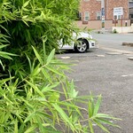 らー麺　Do・Ni・Bo - 笹だけ越しにゴルフ⛳️