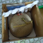 とみたメロンハウス - 