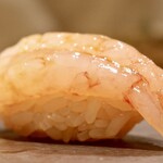 島津 - 甘海老 昆布締め