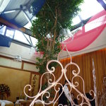 Do Asshu - 店内の真ん中に立つ大きな木