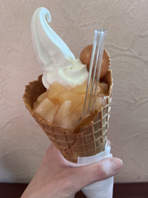 Soft Kobo Purasu Taihei Honten photo 2