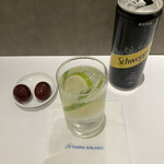 桃園チャイナ エアラインラウンジ - ジントニック