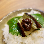 ホルモン しんちゃん - 