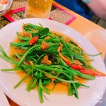 タイ料理 トゥクトゥク - パックブンファイデーン
      windolWuau
      
      夏限定です！空芯菜の炒め物です、東南アジア全域で食される料理で、タイ料理の中では有名で人気があるメニューのひとつです。