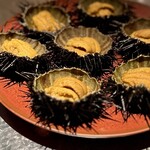 アルギュロス - 