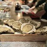 アルギュロス - 