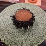 麻布 幸村 - 
