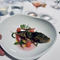 レフェルヴェソンス - 