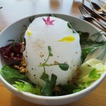 メゾン ケイ - Jardin des Legumes