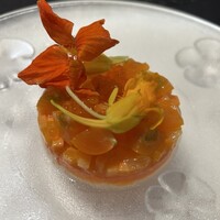 Élan - 