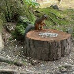 Kyukaruizawa Cafe Suzunone