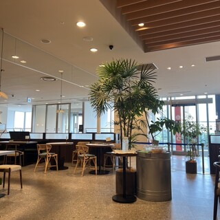 Oolong Market 茶市場_2