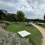 Morris & Brown Cafe - 