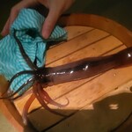 ★北海道物産 - 