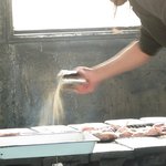 東千歳バーベキュー - 