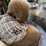 離山房 - シェリを抱っこしながらｗ