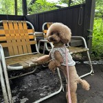 리잔보우 - 아즈마야 앞에서 포즈