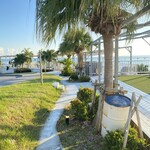 タコライスカフェ　きじむなぁ - 