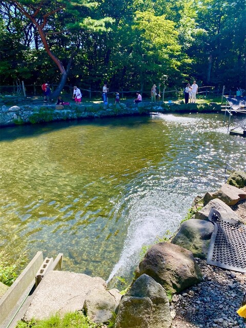 磐梯高原南ヶ丘牧場 売店 - 翁島（ジェラート・アイスクリーム）の写真