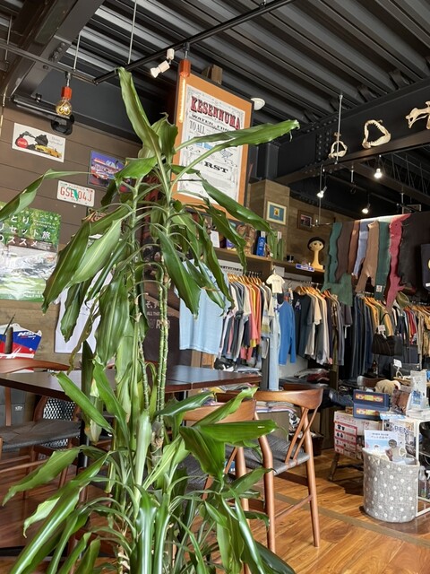 カフェ アールエスティー（cafe RST） - 南気仙沼（カフェ）の写真