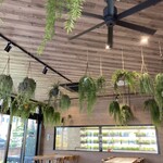 Bread Land HOME GO ROUND - お洒落な天井