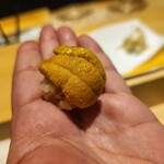 北新地 鮨 栞庵 やましろ - 