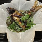 富小路 やま岸 - 