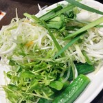 しゃぶ葉 - 料理写真: