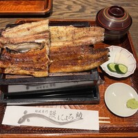 にょろ助 銀座 - 