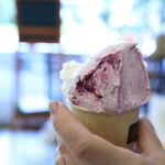 苫小牧ジェラート専門店 Filicia - 