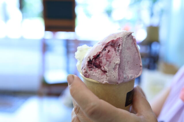 苫小牧ジェラート専門店 Filicia（Tomakomai Gelato Shop Filicia/フィリシア） - 苫小牧（ジェラート・アイスクリーム）の写真