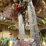 おやさいcafeAOMUSHI - 