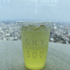 SKY GARDEN 300