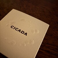 CICADA - 