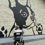 DOG DEPT.+CAFE Karuizawapurinsuten - 在店鋪旁邊的牆前～