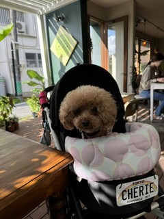 ナチュラル　カフェイーナ - テラス席でのシェリ