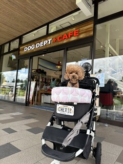 DOG DEPT.+CAFE Karuizawapurinsuten - In front of the store~