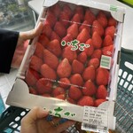 道の駅　高岡 - いちごおおきみ1㎏（加工用）¥1,000