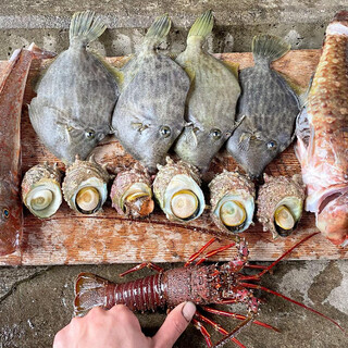 【神奈川三浦半島の鮮魚】相模湾で獲れた旬の魚介をご提供！